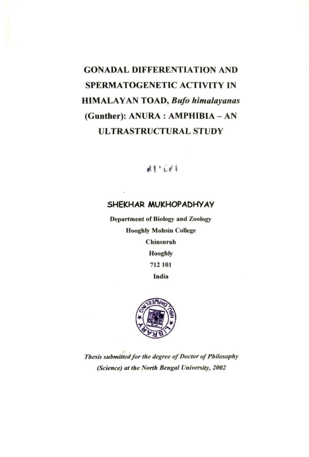 Ultrastructural Study