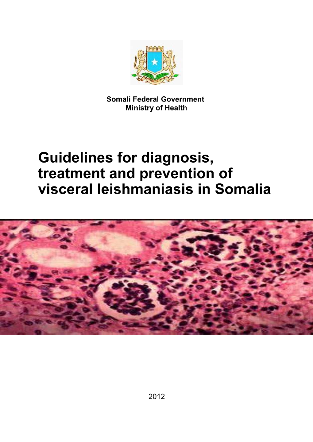 Guidelines for Diagnosis, Treatment and Prevention of Visceral Leishmaniasis in Somalia