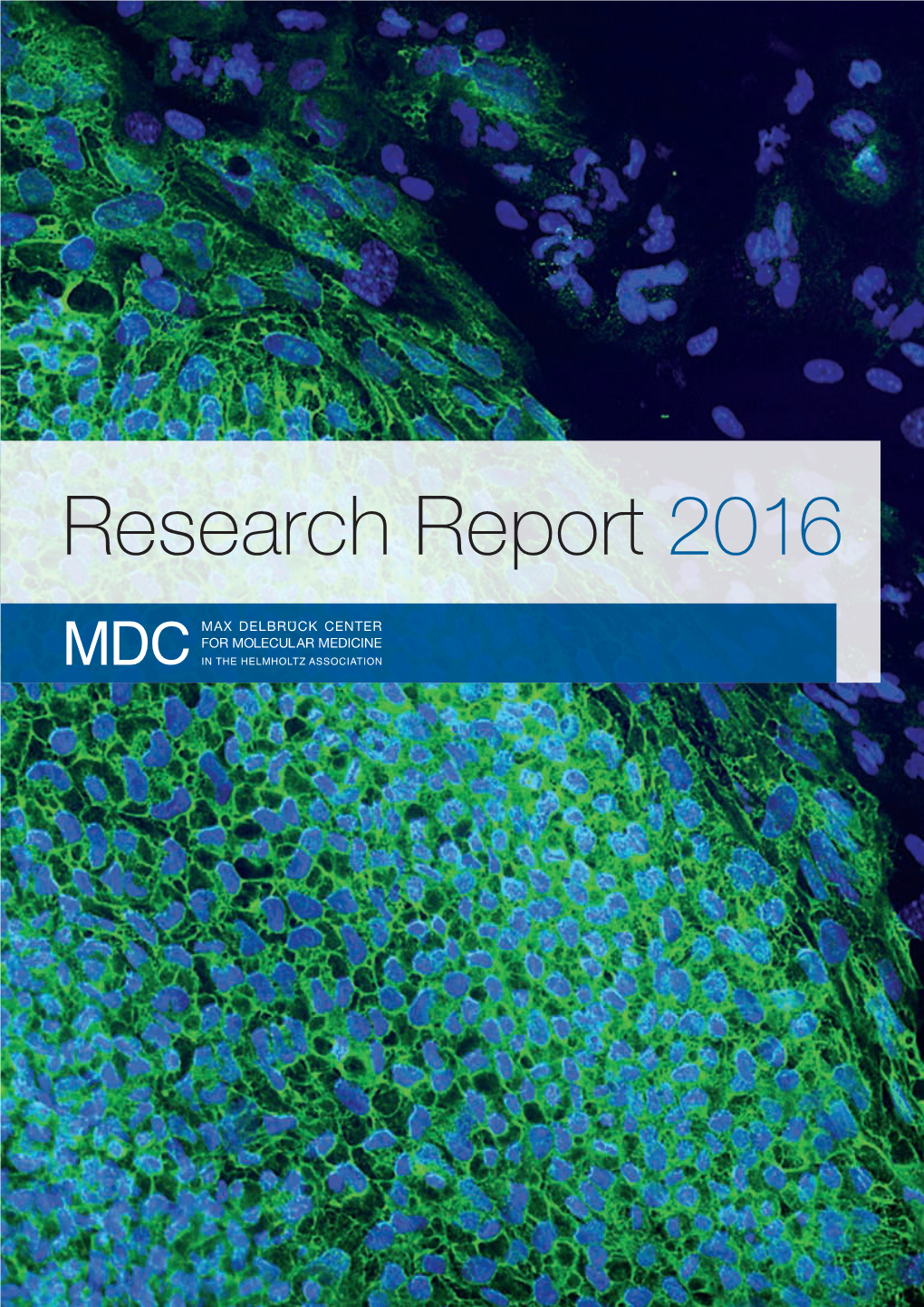 Research Report 2016 Image Captions Research Report 2016 (Covers the Period 2014-2016) Cover: Are Actually Induced Pluripotent Stem Cells in a Pluripotency Test