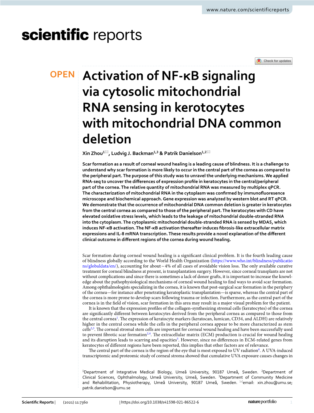 Activation of NF-Κb Signaling Via Cytosolic Mitochondrial RNA