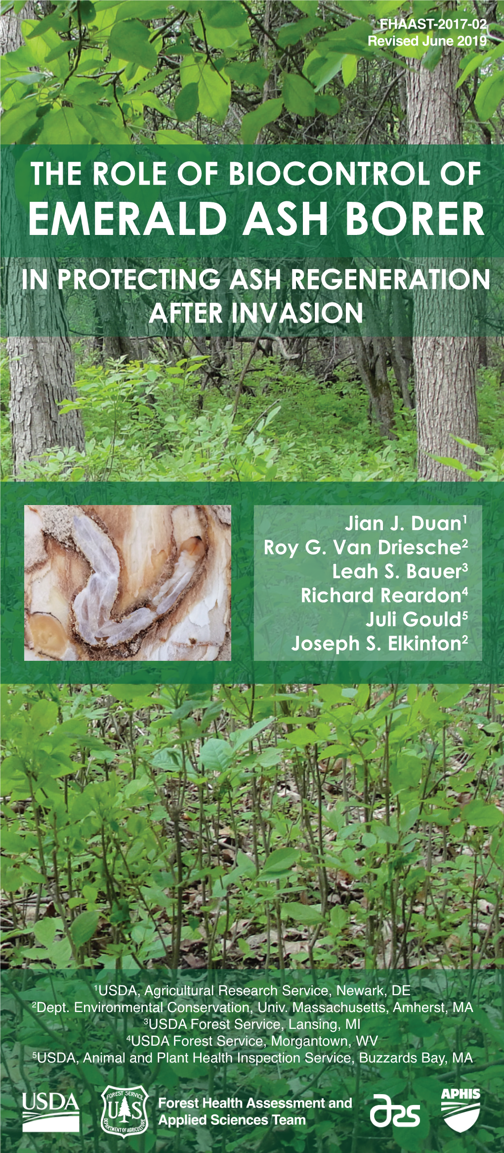 The Role of Biocontrol of Emerald Ash Borer in Protecting Ash Regeneration After Invasion