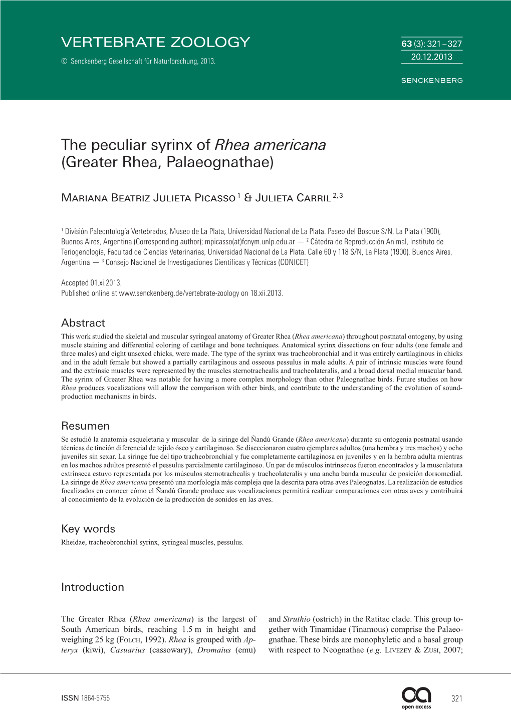 The Peculiar Syrinx of Rhea Americana (Greater Rhea, Palaeognathae)