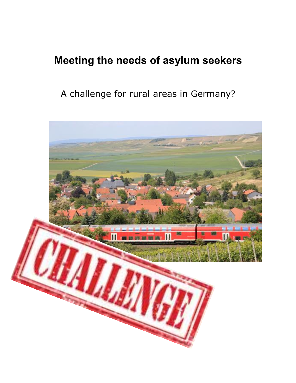 Meeting the Needs of Asylum Seekers