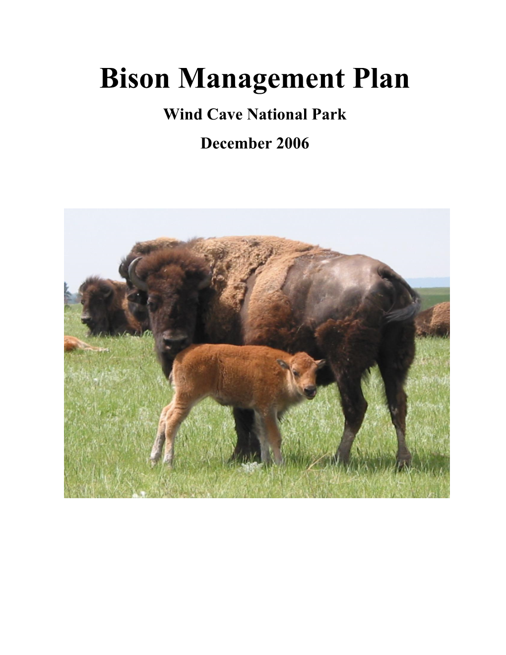 Bison Management Plan Wind Cave National Park December 2006