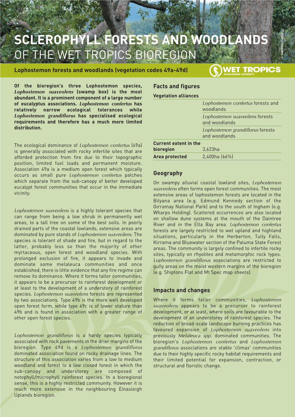 Sclerophyll Forests and Woodlands