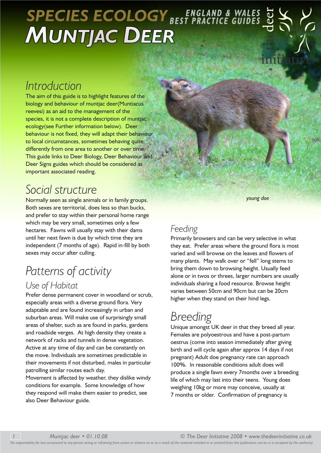 Muntjac Deer(Muntiacus Reevesi) As an Aid to the Management of the Species, It Is Not a Complete Description of Muntjac Ecology(See Further Information Below)