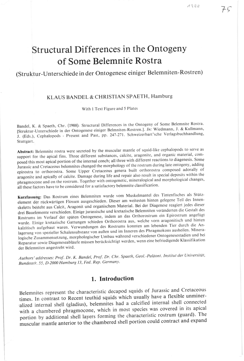 Structural Differences in the Ontogeny of Some Belemnit'e Rostra (Struktur-Unterschiede in Der Ontogenese Einiger Belemniten-Rostren)