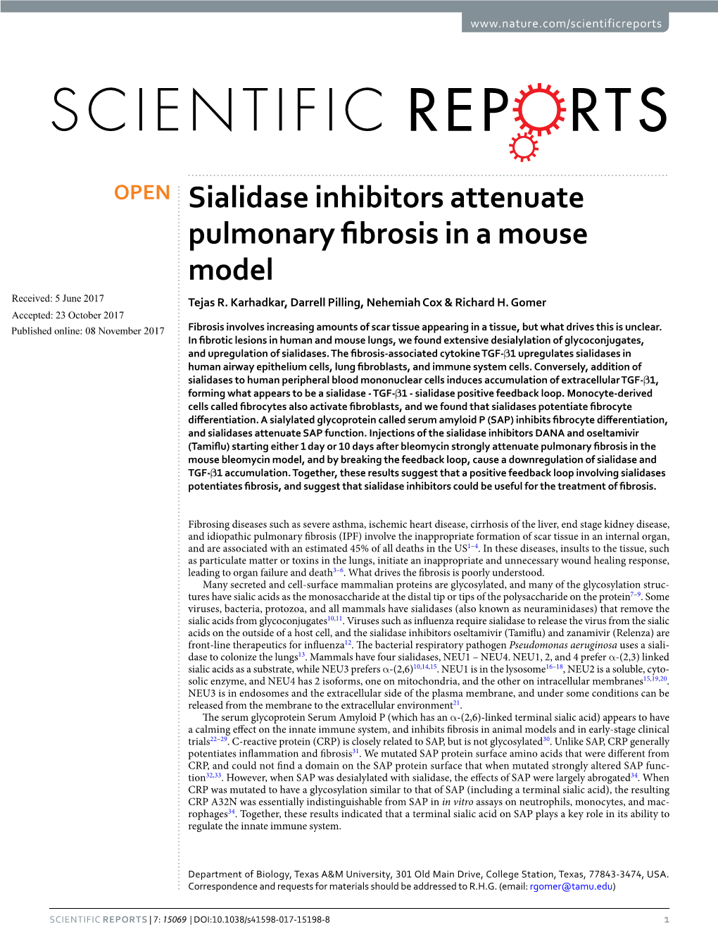 Sialidase Inhibitors Attenuate Pulmonary Fibrosis in a Mouse Model