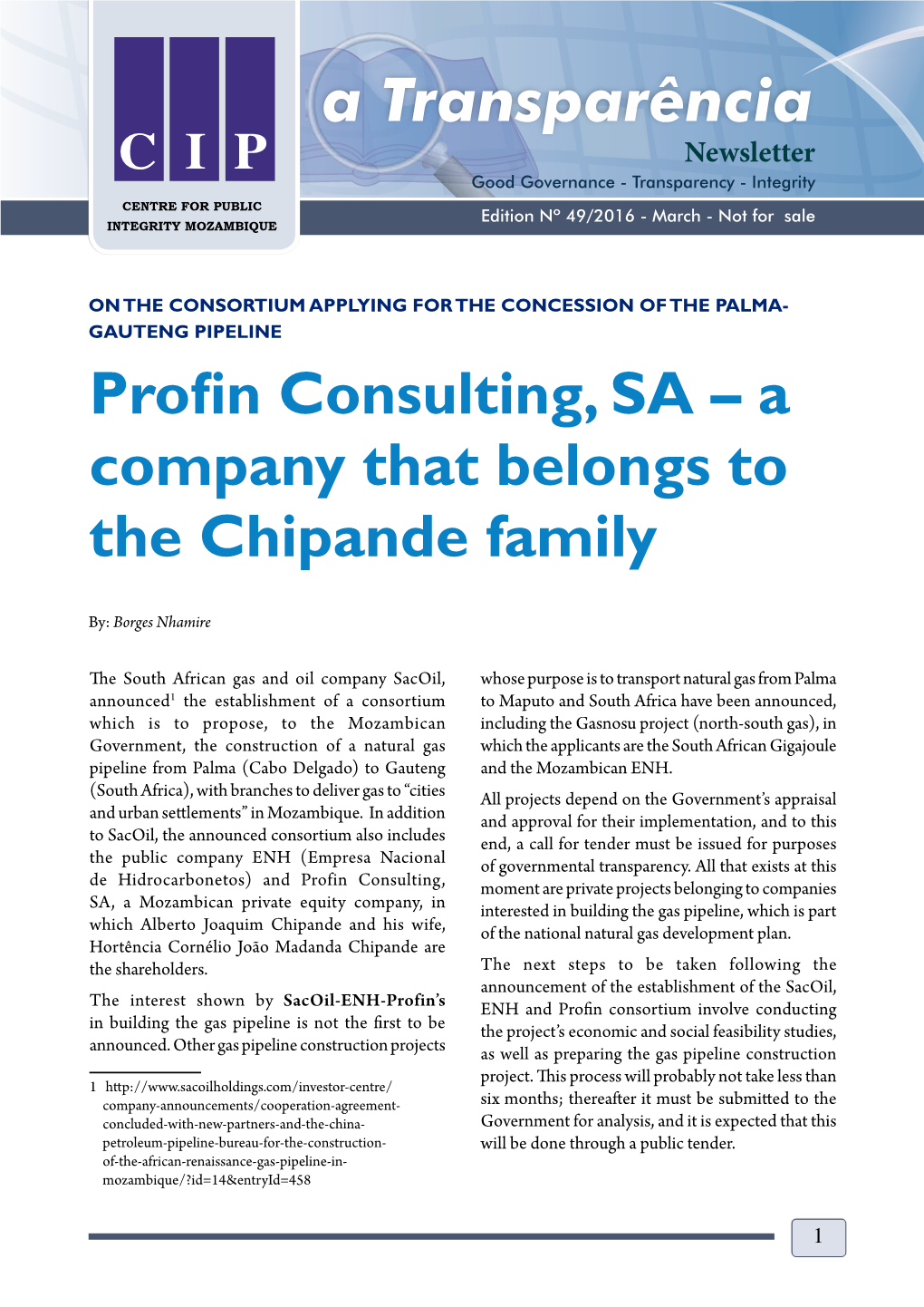 Profin Consulting, SA – a Company That Belongs to the Chipande Family