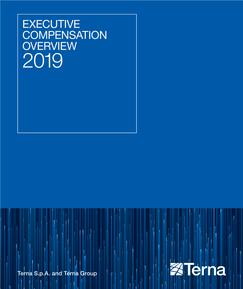 Executive Compensation Overview 2019