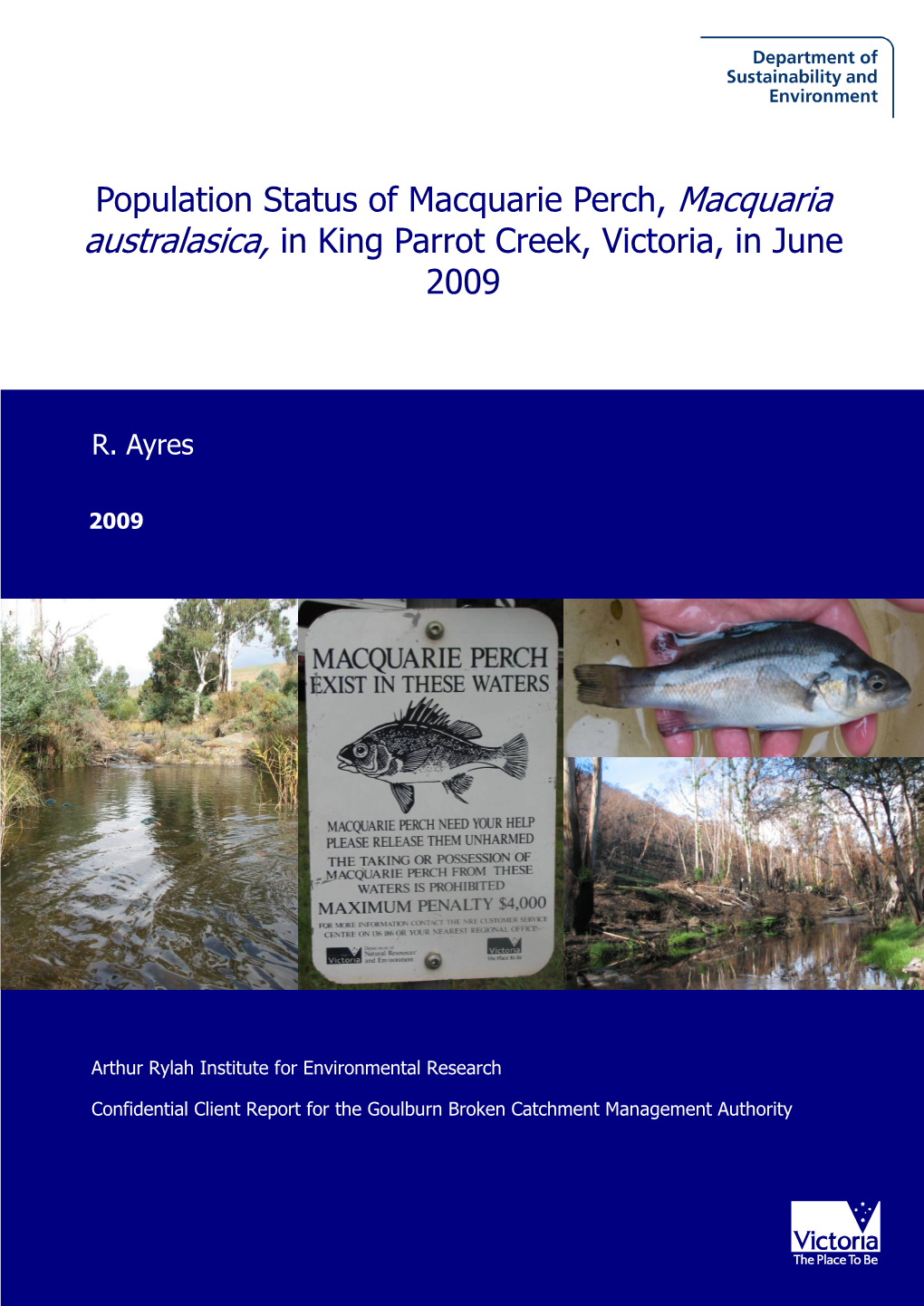 Population Status of Macquarie Perch, Macquaria Australasica, in King Parrot Creek, Victoria, in June 2009
