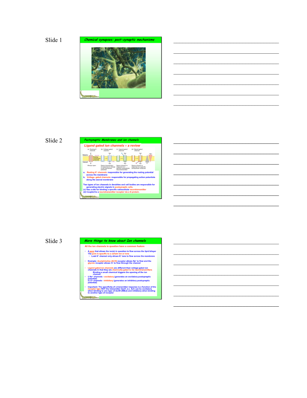 Slide 1 Chemical Synapses: Post-Synaptic Mechanisms ______