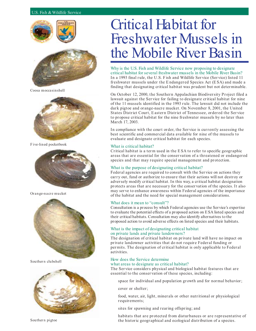 Mussel Fact Sheet