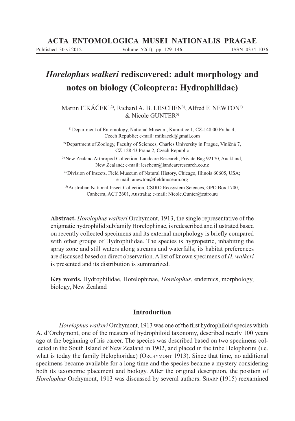 Horelophus Walkeri Rediscovered: Adult Morphology and Notes on Biology (Coleoptera: Hydrophilidae)
