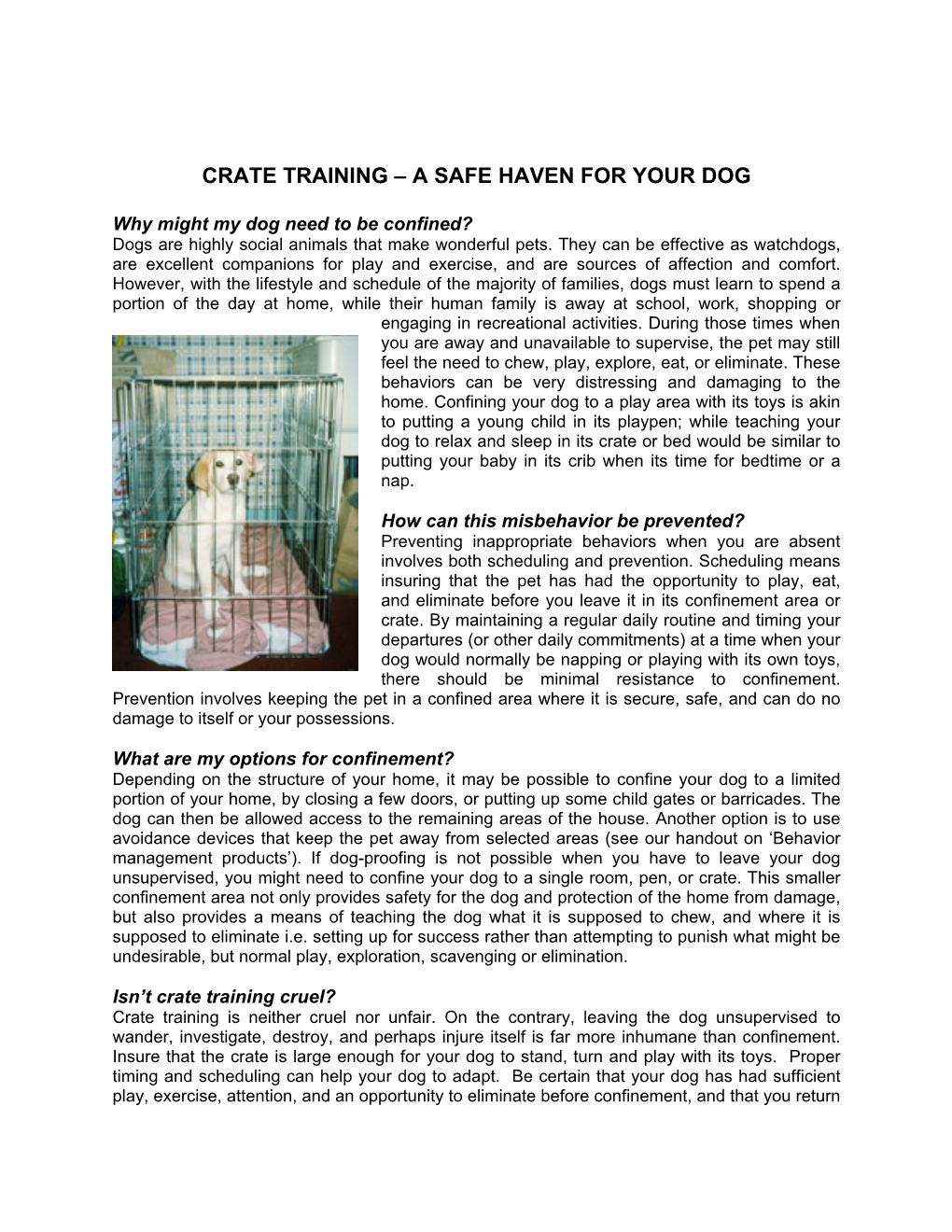 Crate Training – a Safe Haven for Your Dog