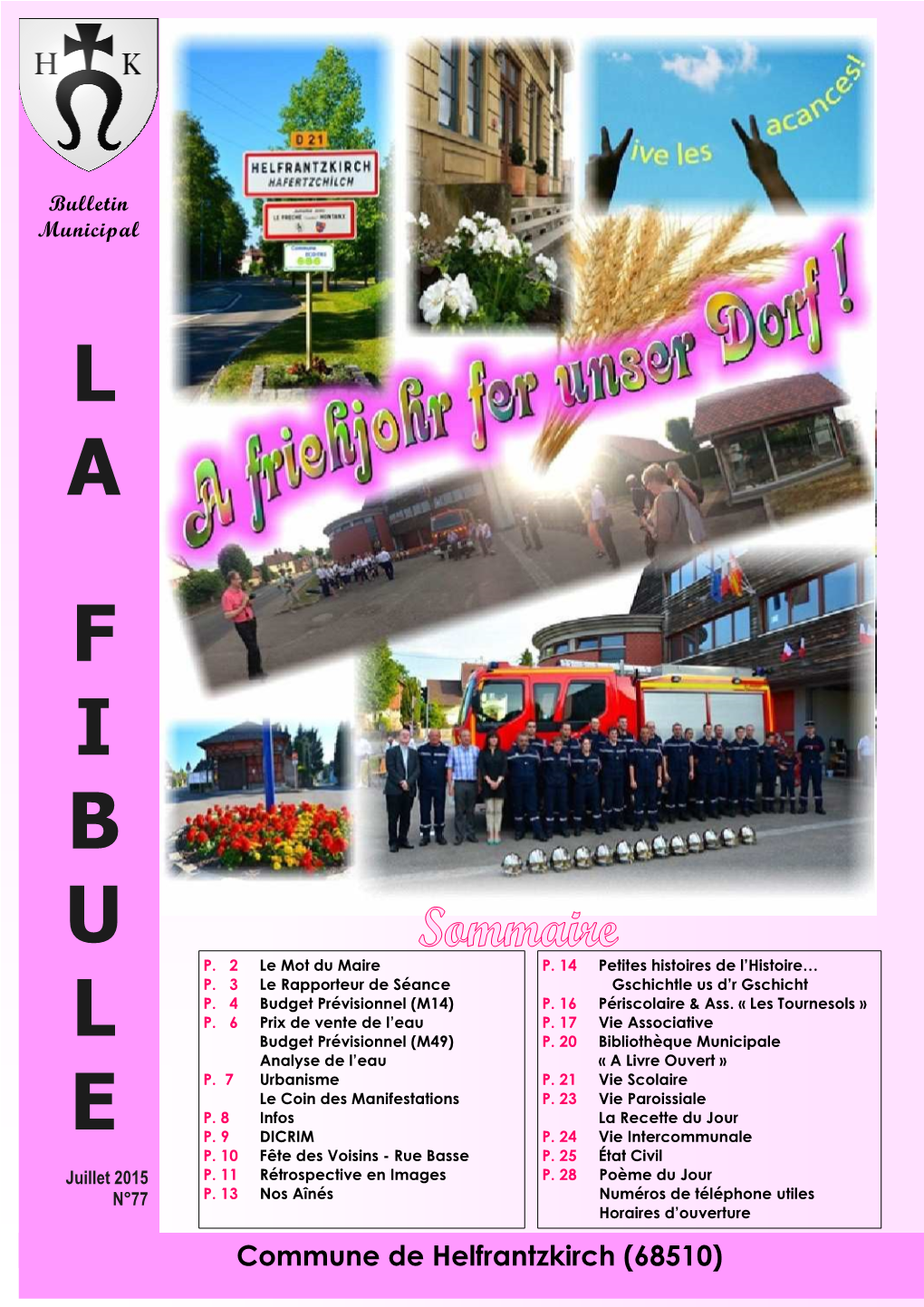 Fibule Juillet 20151.Pdf