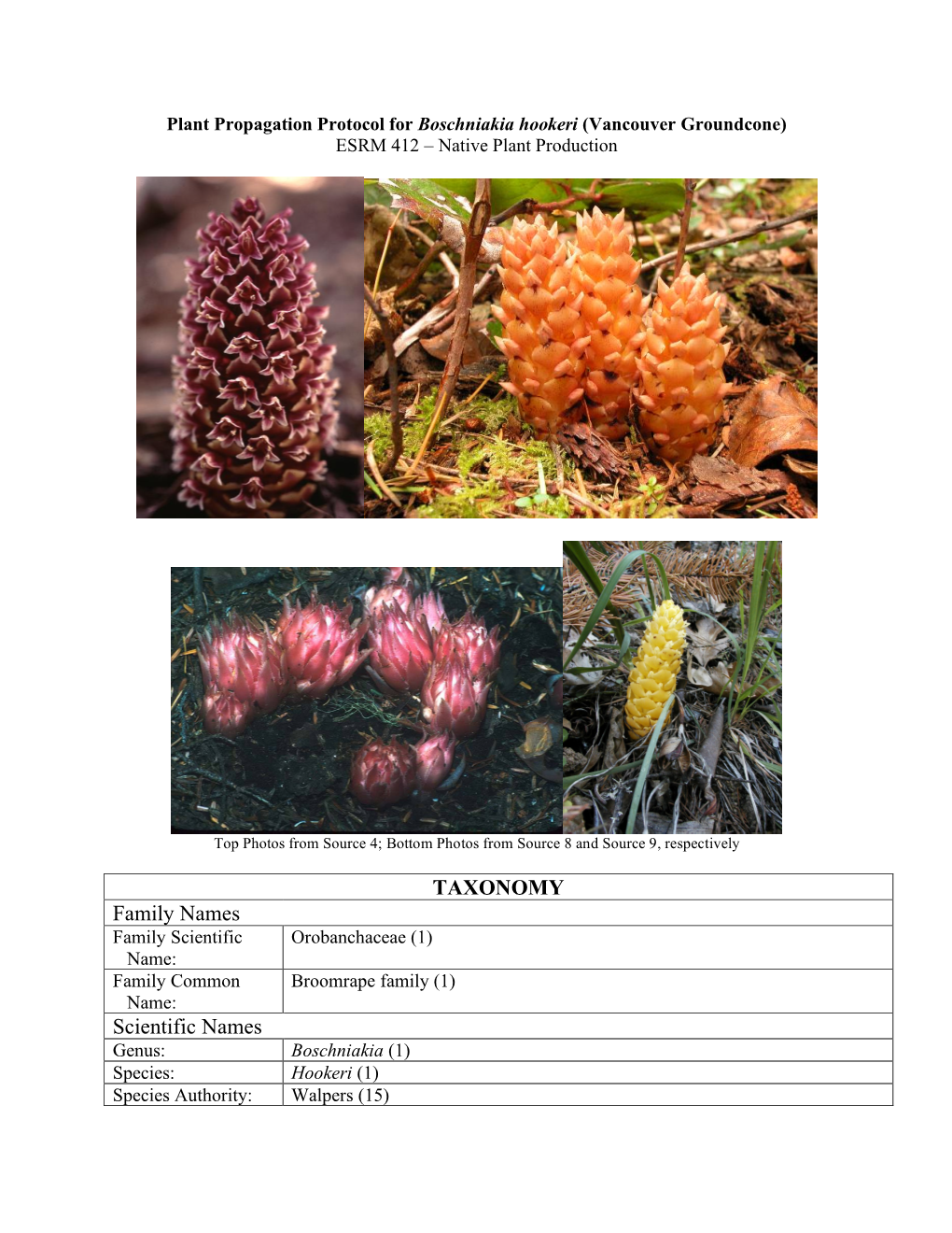 TAXONOMY Family Names Scientific Names