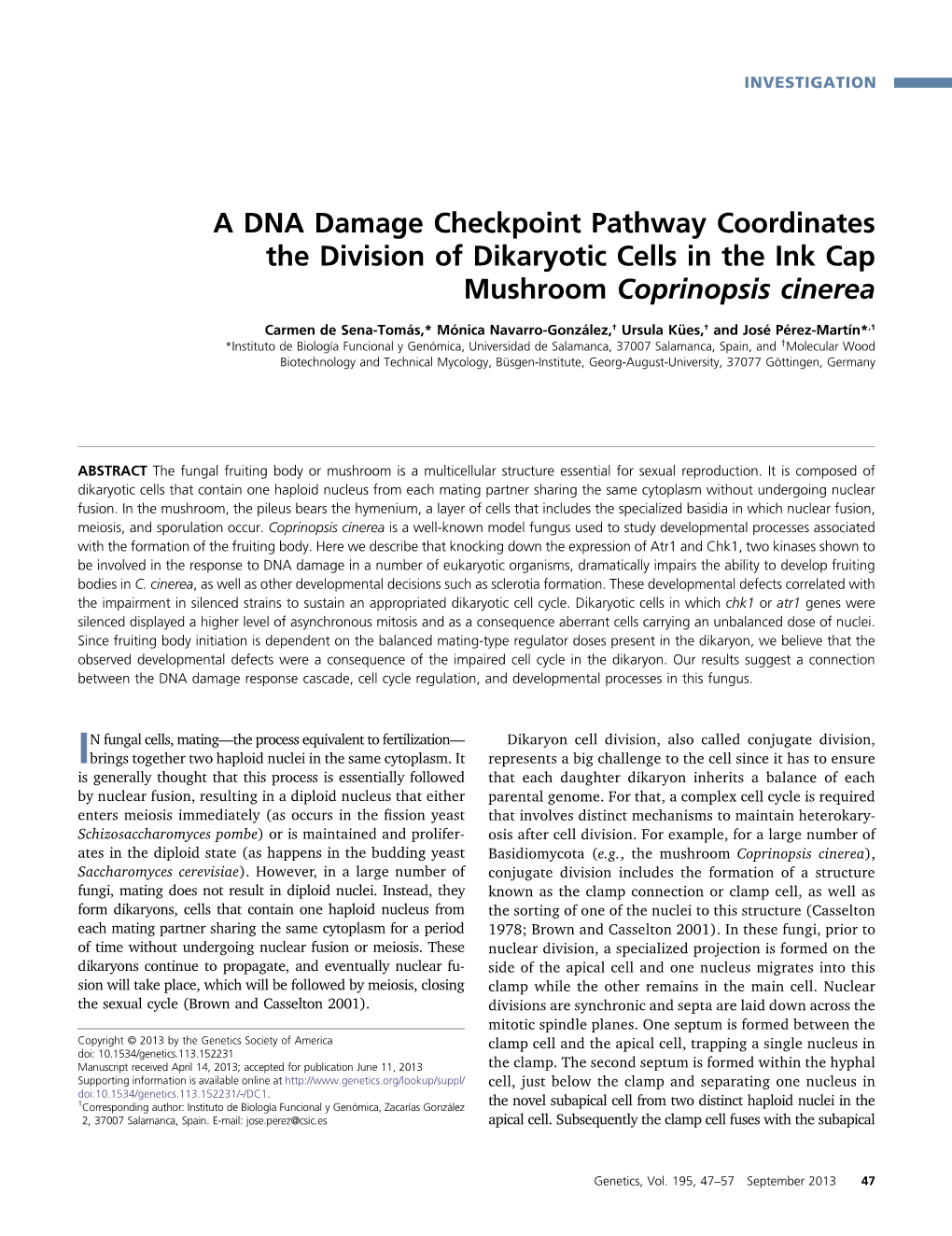 A DNA Damage Checkpoint Pathway Coordinates the Division of Dikaryotic Cells in the Ink Cap Mushroom Coprinopsis Cinerea