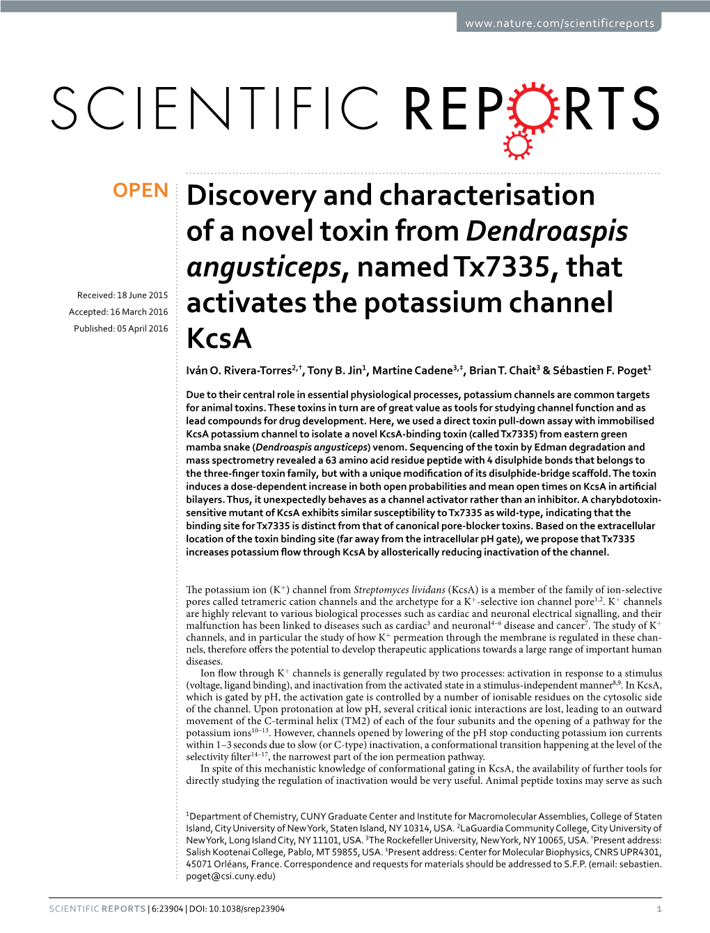 Discovery and Characterisation of a Novel Toxin from Dendroaspis