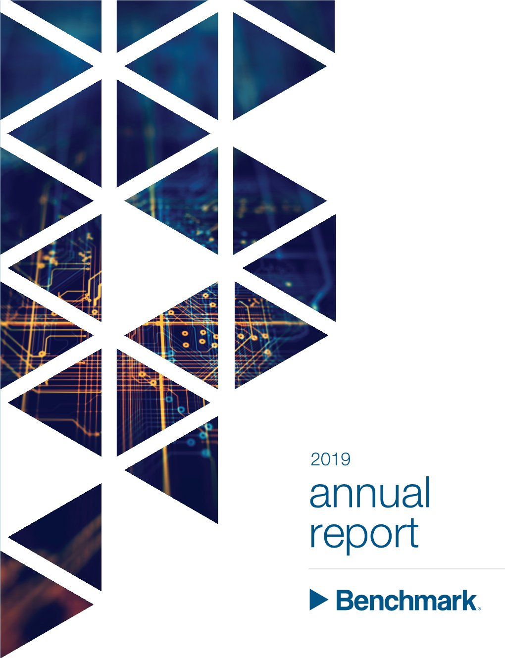 2019 Annual Report Dear Shareholders