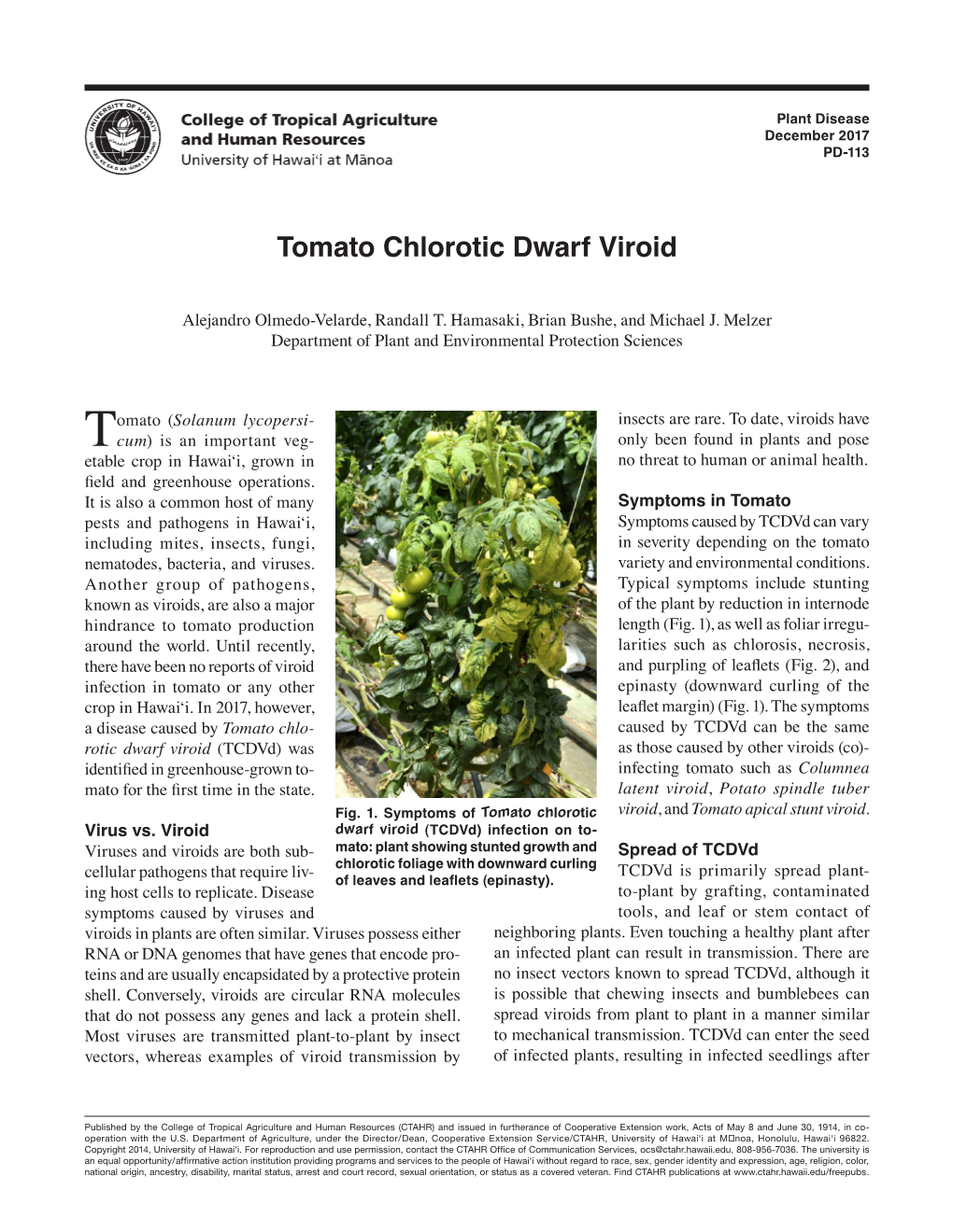 Tomato Chlorotic Dwarf Viroid