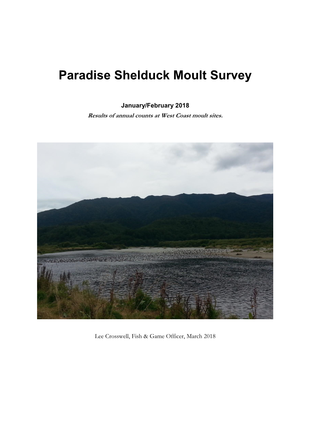 Paradise Shelduck Moult Survey