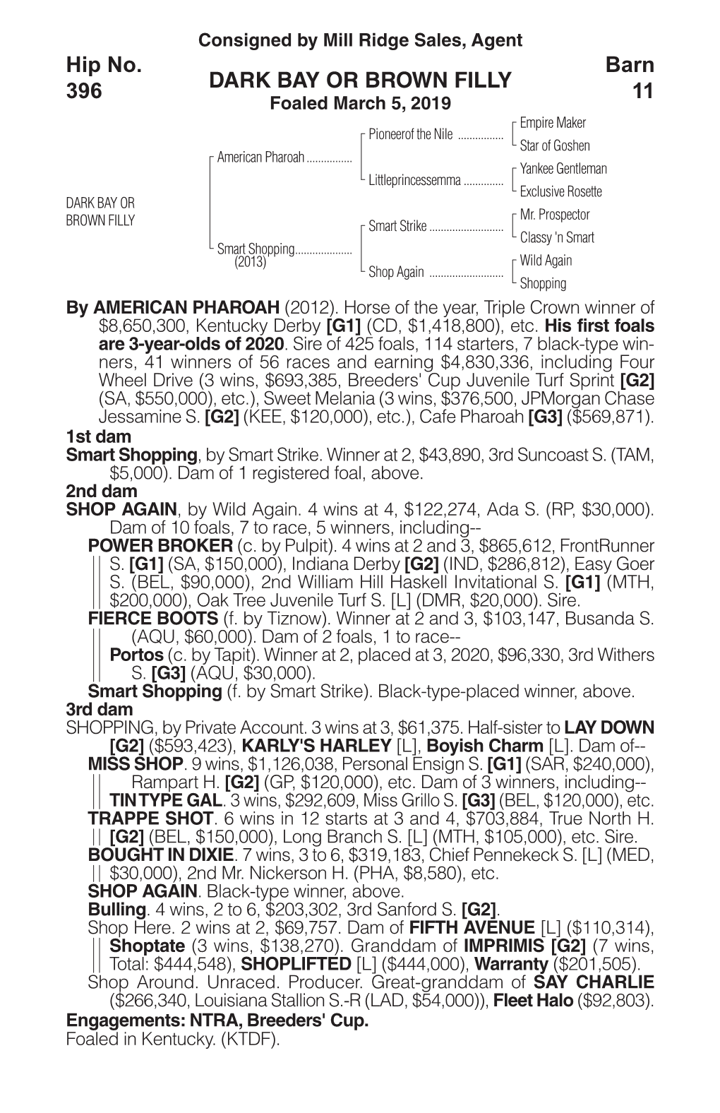 DARK BAY OR BROWN FILLY Barn 11 Hip No