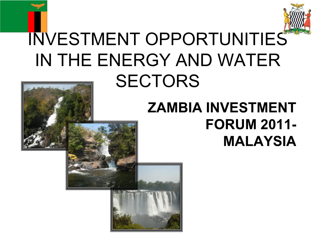 Investment Opportunities in the Energy Sector