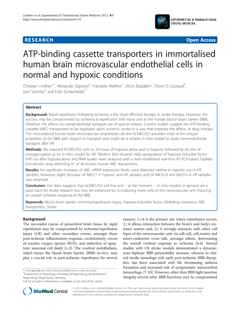 ATP-Binding Cassette Transporters in Immortalised Human Brain