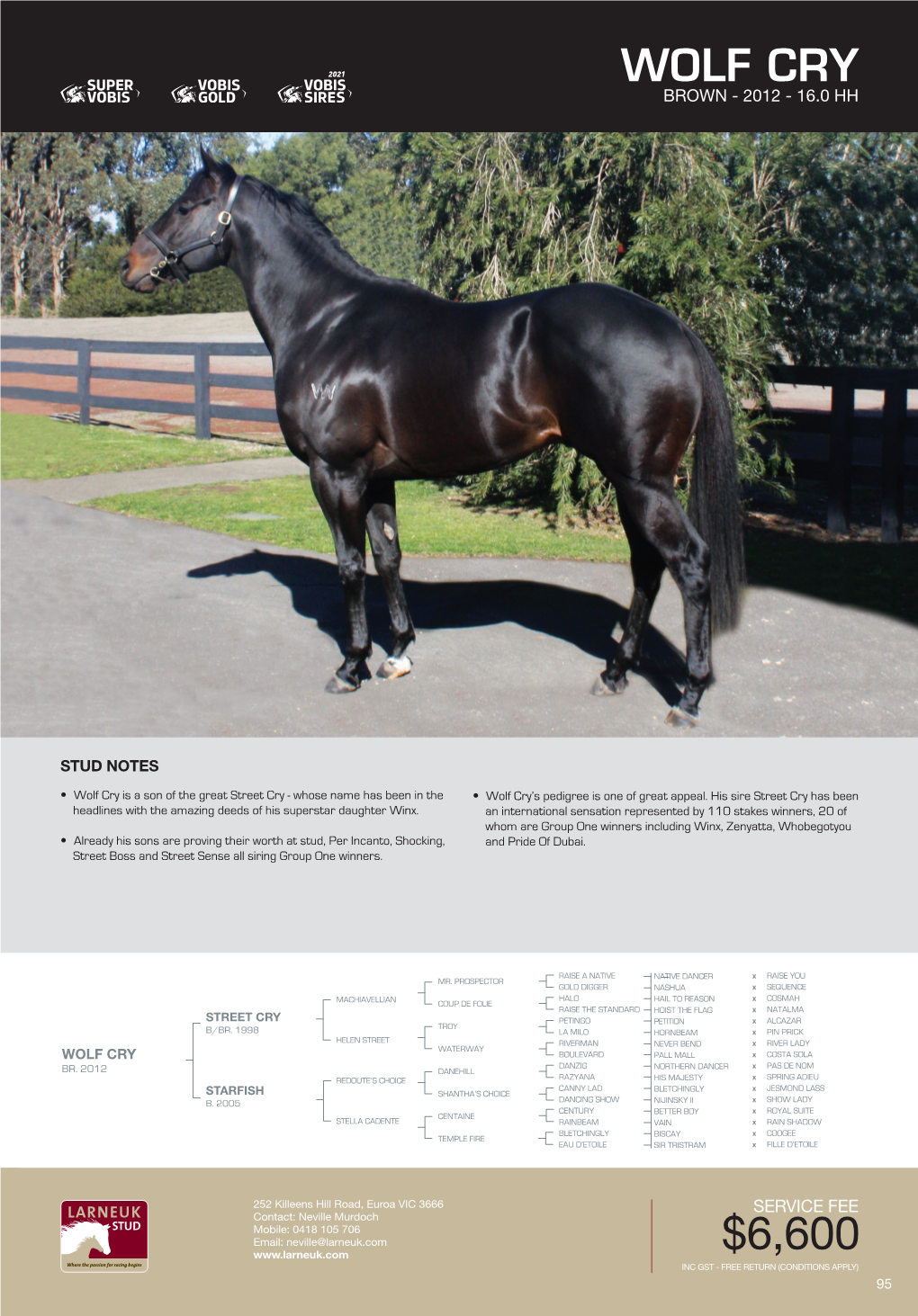 Stallion Brochure