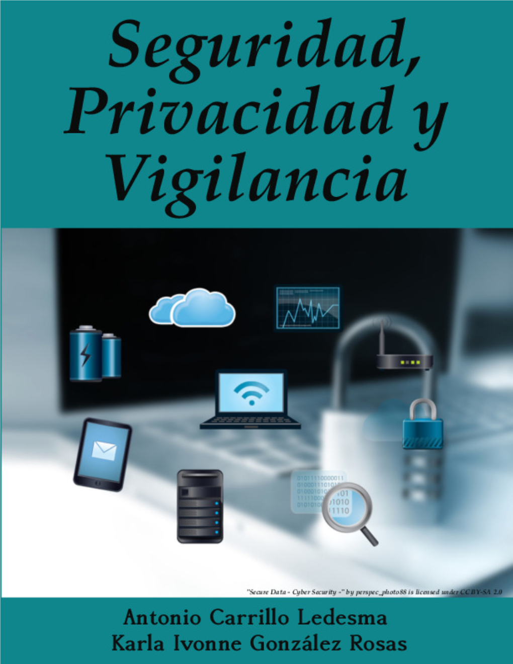 Seguridad, Privacidad Y Vigilancia