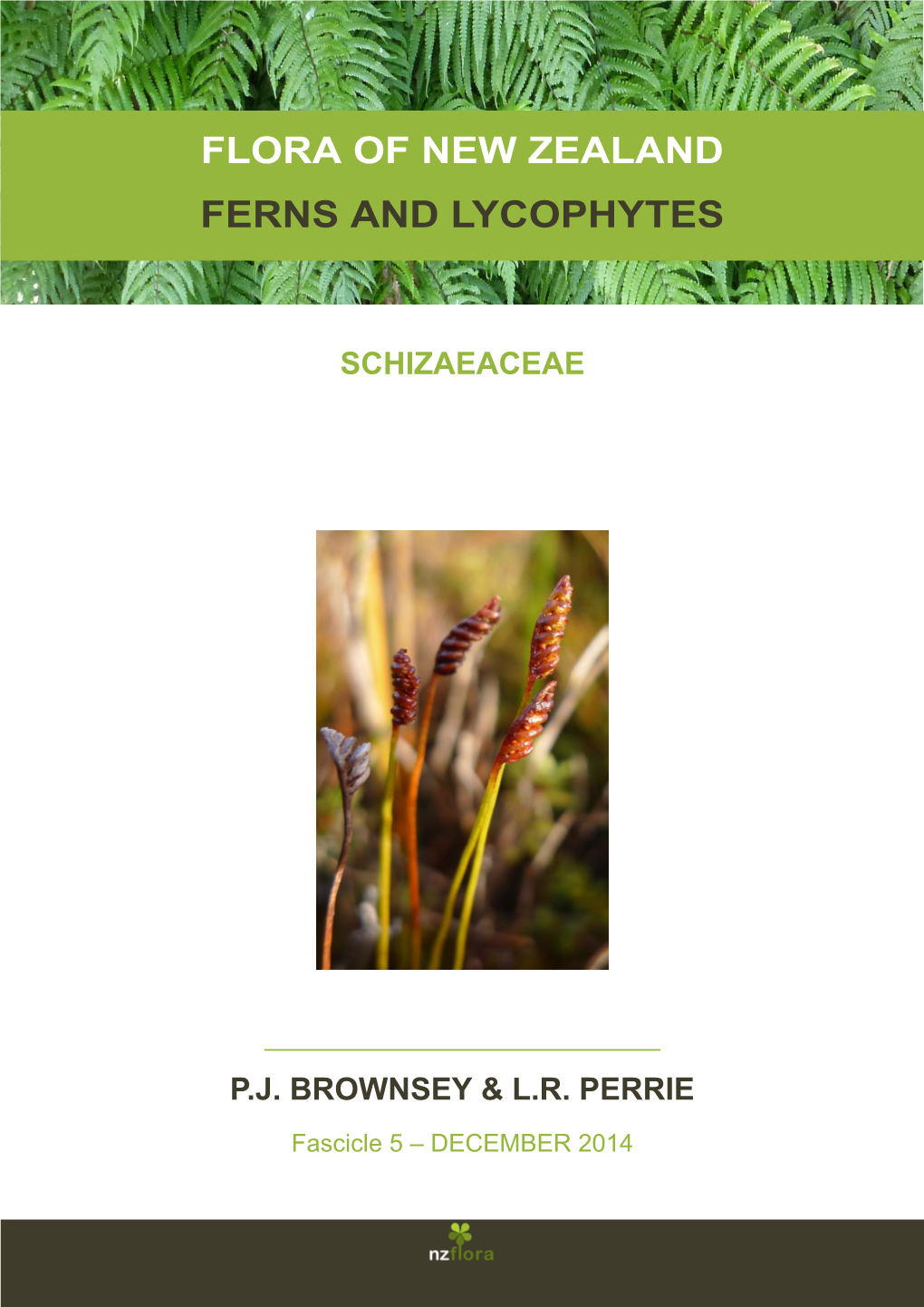 Flora of New Zealand Ferns and Lycophytes