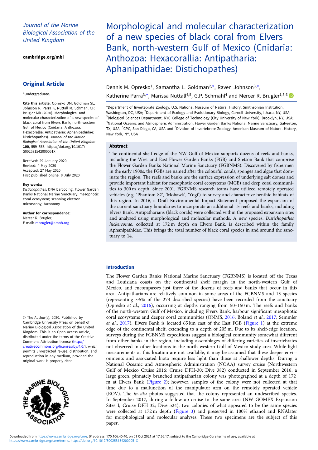 Morphological and Molecular Characterization of a New Species Of