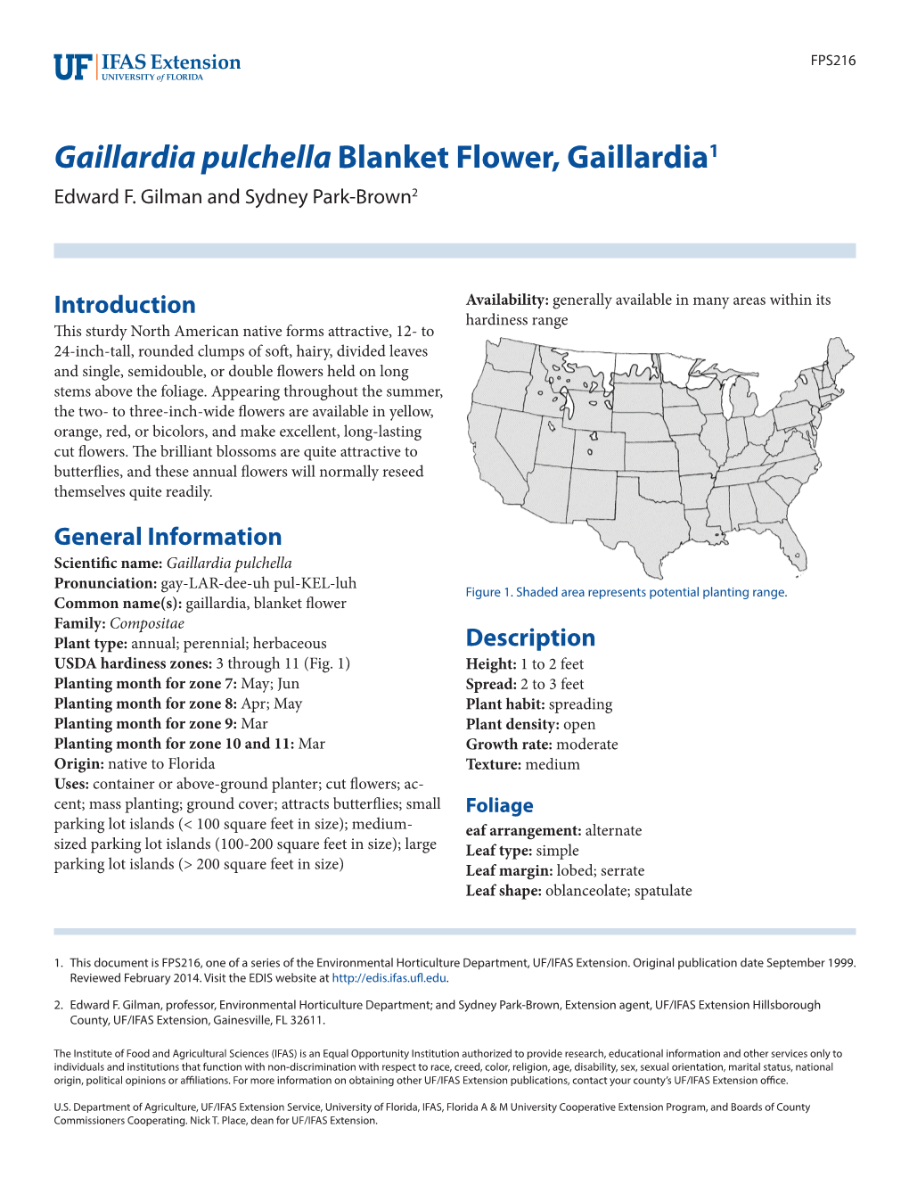 Gaillardia Pulchella Blanket Flower, Gaillardia1 Edward F