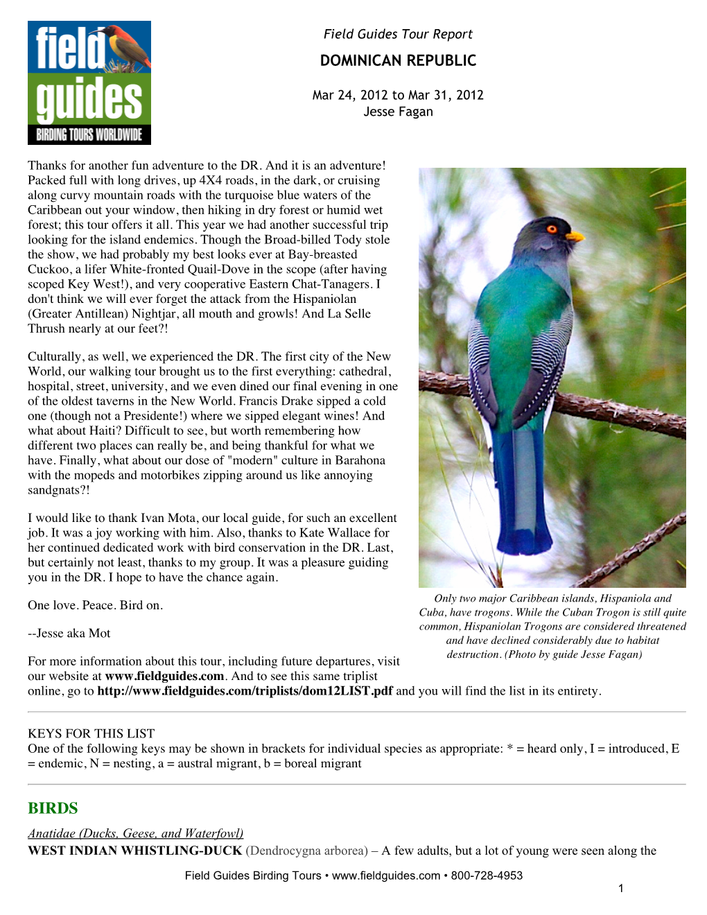 Field Guides Birding Tours Dominican Republic