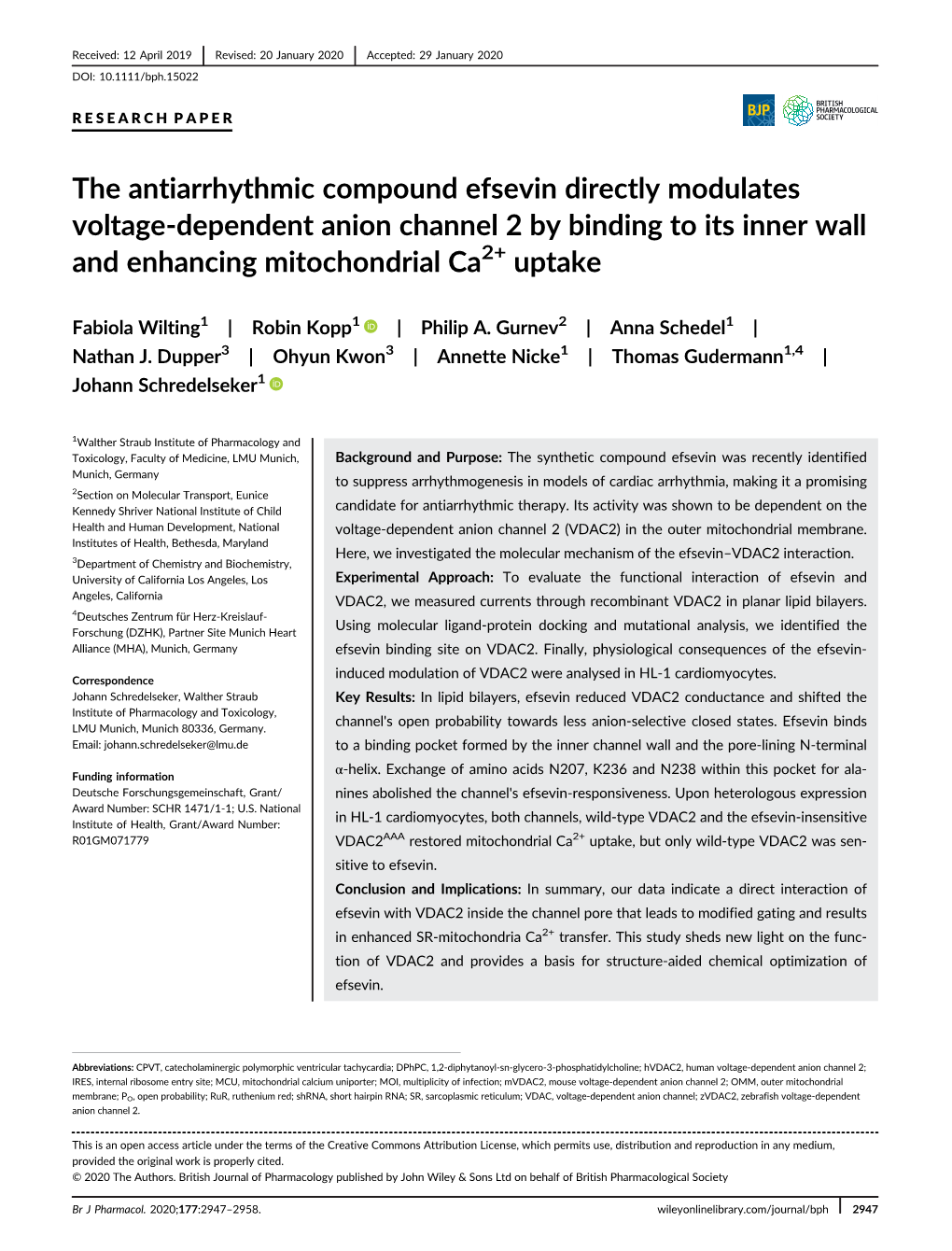 The Antiarrhythmic Compound Efsevin Directly Modulates Voltage-Dependent Anion Channel 2 by Binding to Its Inner Wall and Enhancing Mitochondrial Ca2+ Uptake