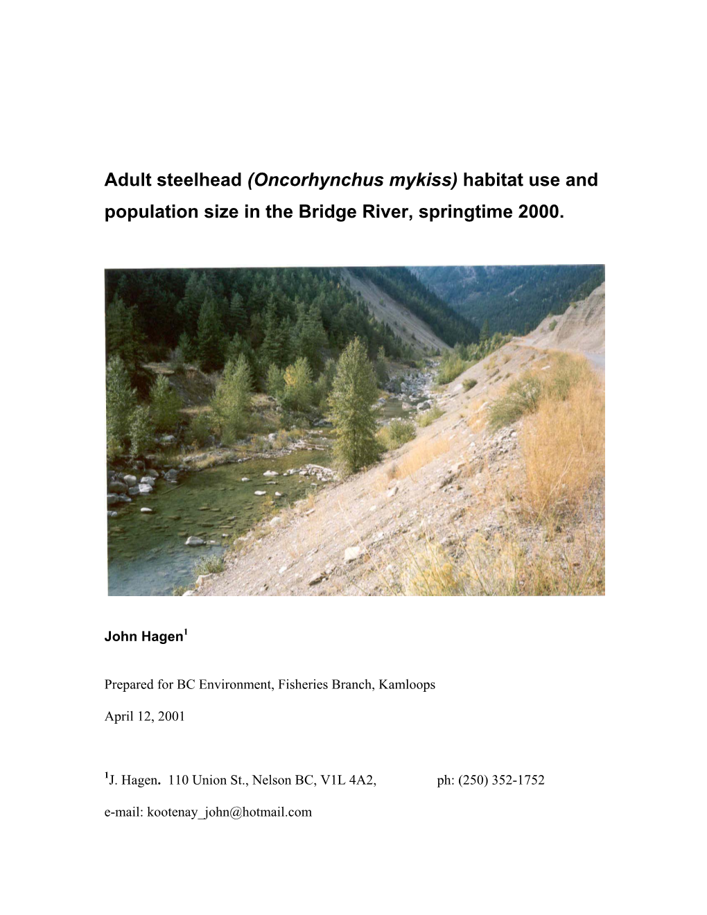 Adult Steelhead (Oncorhynchus Mykiss) Habitat Use and Population Size in the Bridge River, Springtime 2000