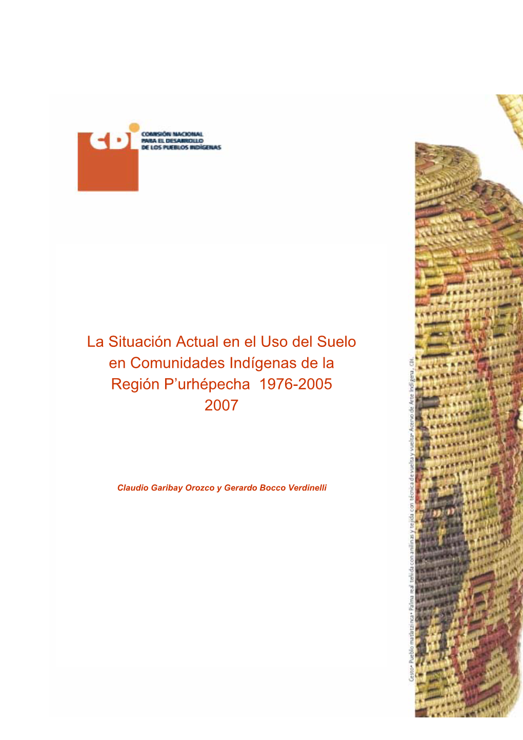 La Situación Actual En El Uso Del Suelo En Comunidades Indígenas De La Región P'urhépecha 1976-2005 2007