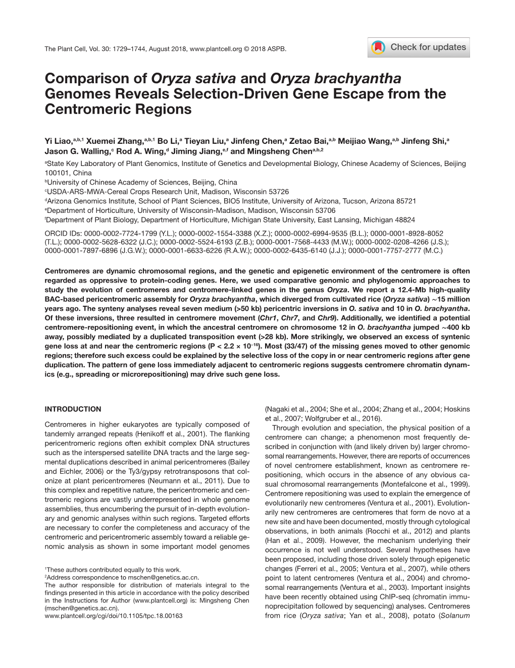 Comparison of Oryza Sativa and Oryza Brachyantha Genomes Reveals Selection-Driven Gene Escape from the Centromeric Regions