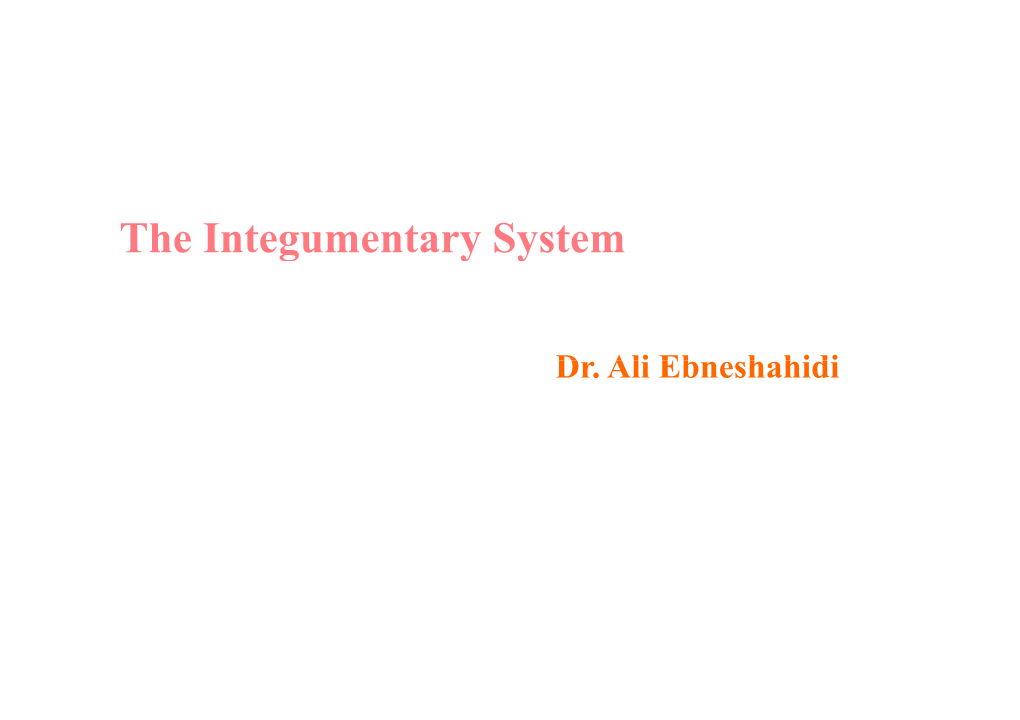 The Integumentary System