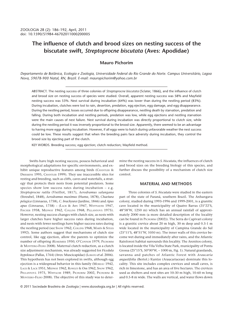 The Influence of Clutch and Brood Sizes on Nesting Success of the Biscutate Swift, Streptoprocne Biscutata (Aves: Apodidae)