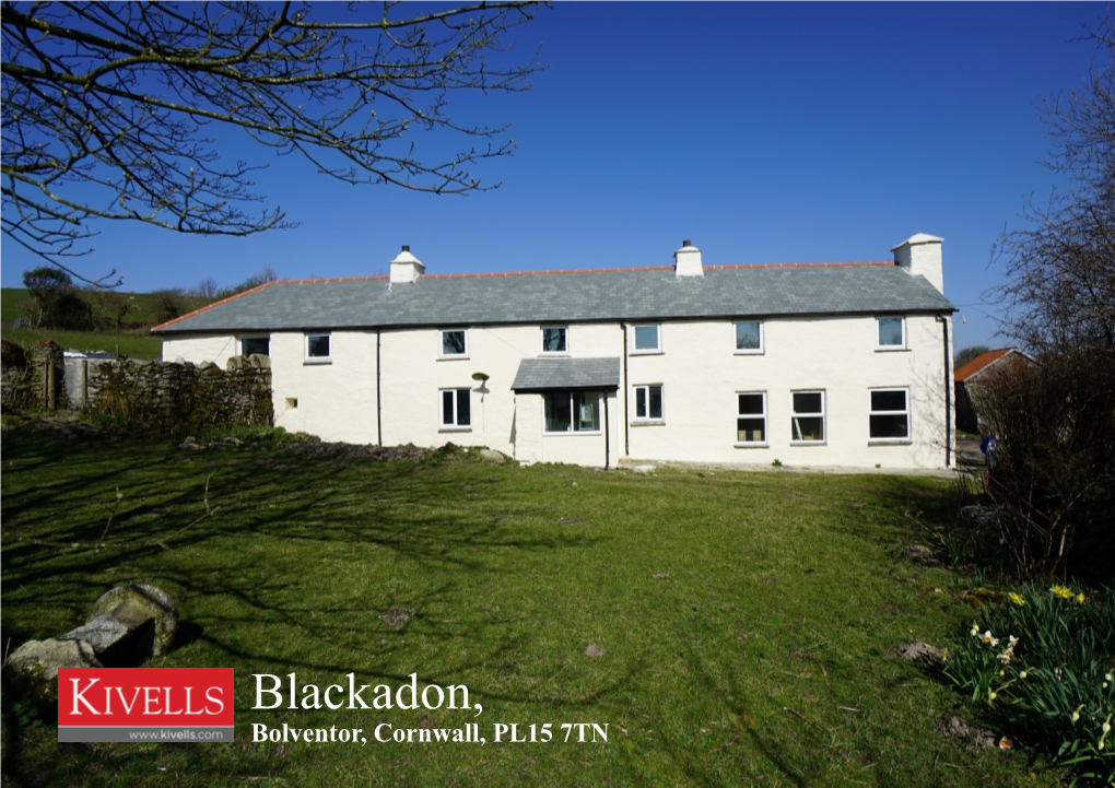 Blackadon, ANGLE of GREEN LINES Bolventor, Cornwall, PL15 7TN