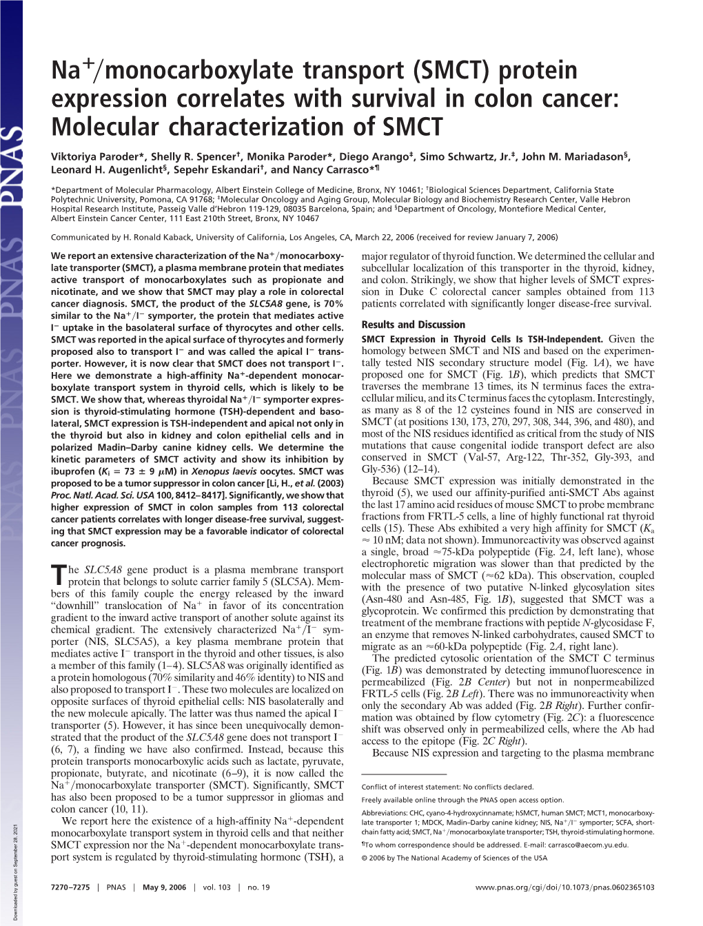 Na Monocarboxylate Transport (SMCT) Protein Expression