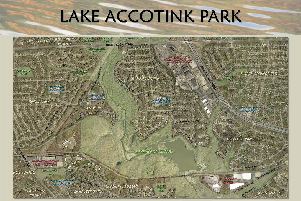 Lake Accotink Park