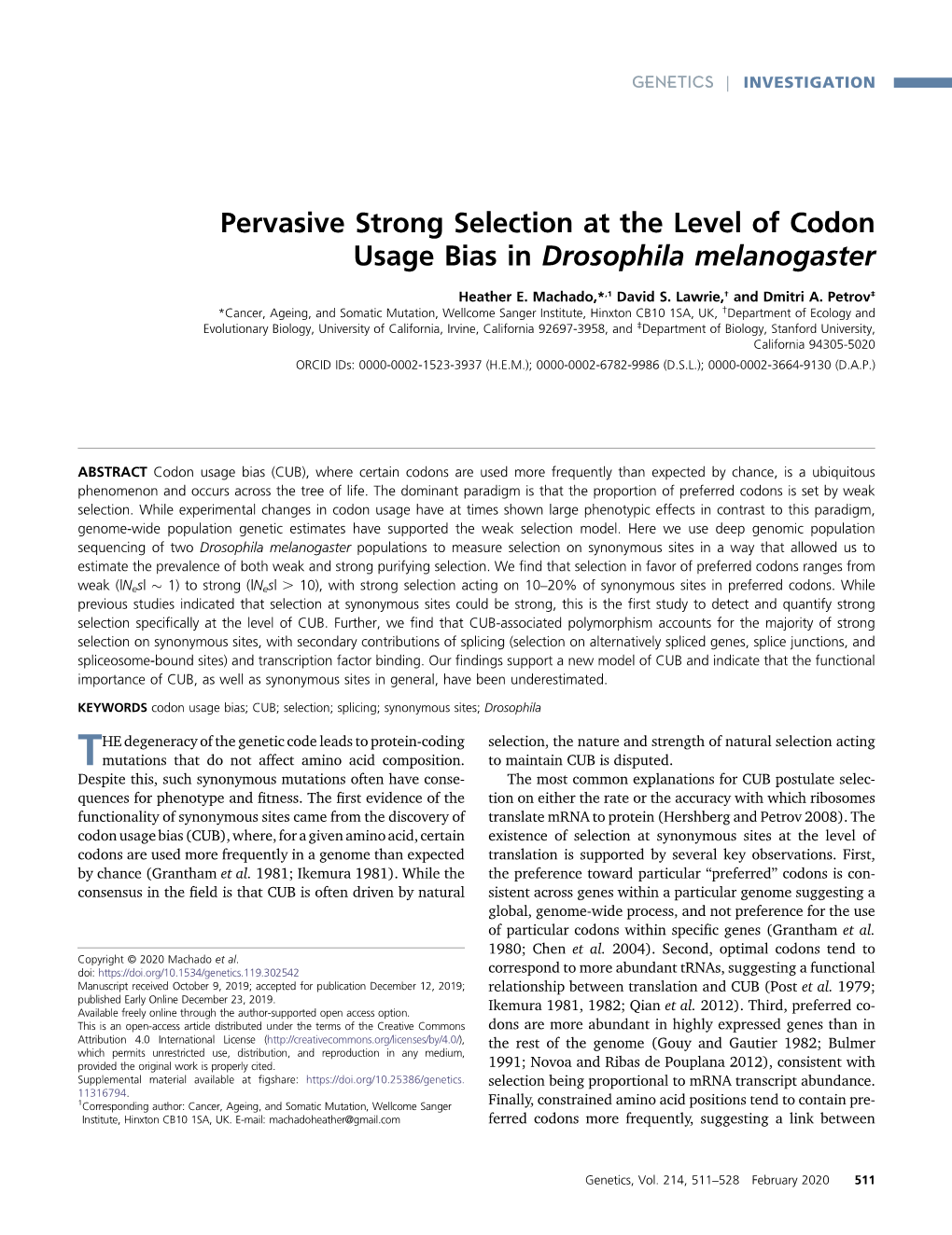 Pervasive Strong Selection at the Level of Codon Usage Bias in Drosophila Melanogaster