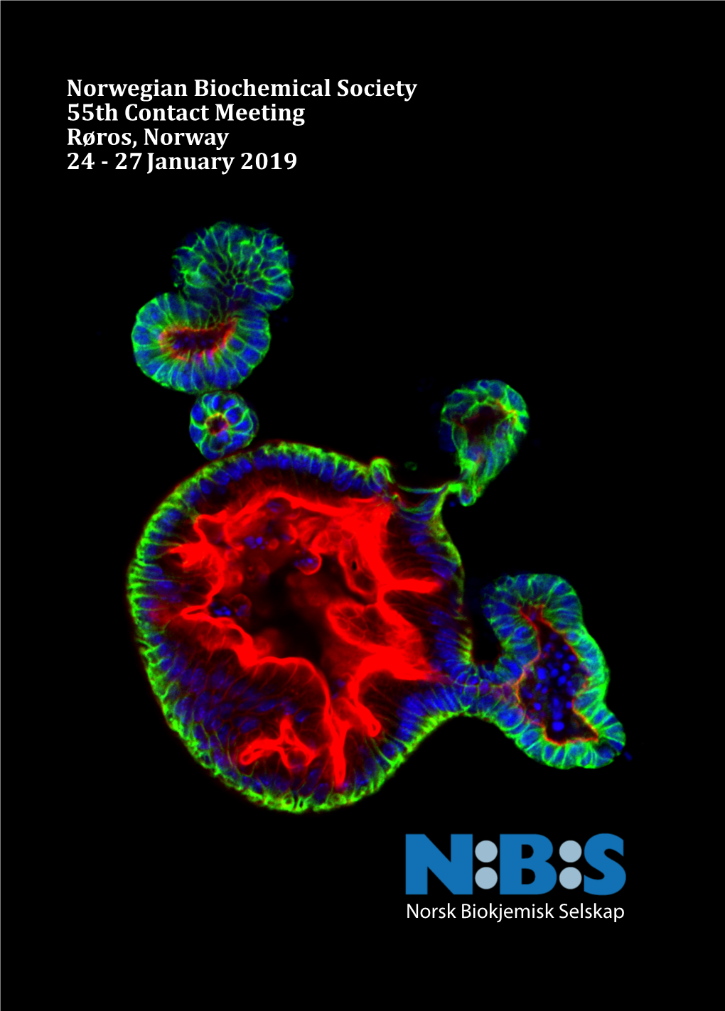 Norwegian Biochemical Society 55Th Contact Meeting Røros, Norway 24 - 27 January 2019