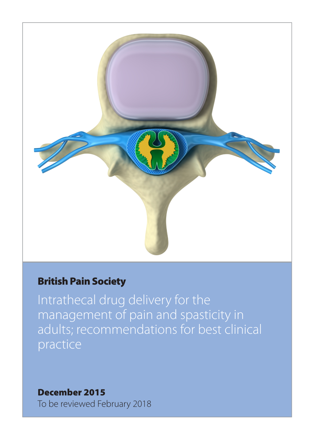 Intrathecal Drug Delivery for the Management of Pain and Spasticity in Adults; Recommendations for Best Clinical Practice