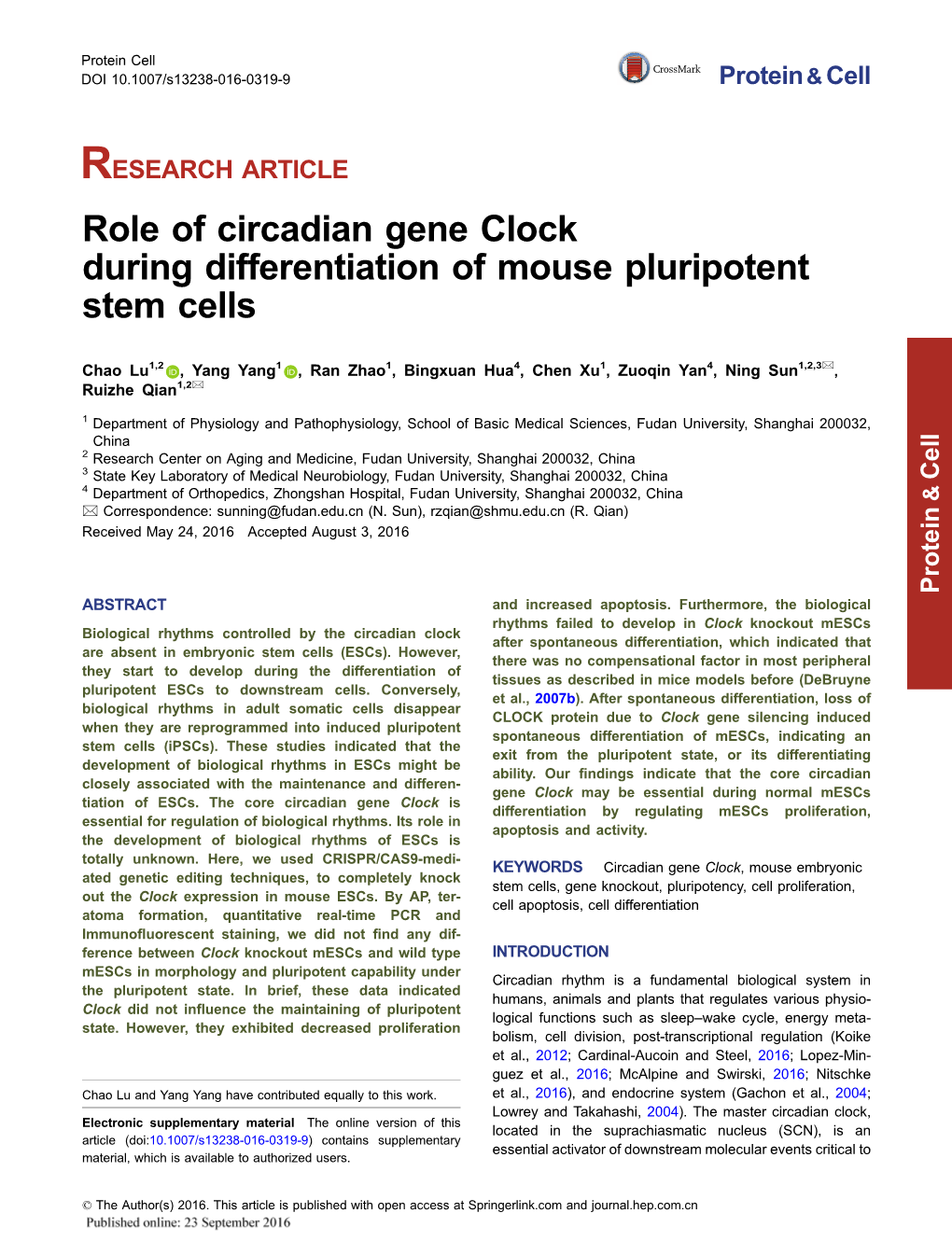 Role of Circadian Gene Clock During Differentiation of Mouse Pluripotent Stem Cells