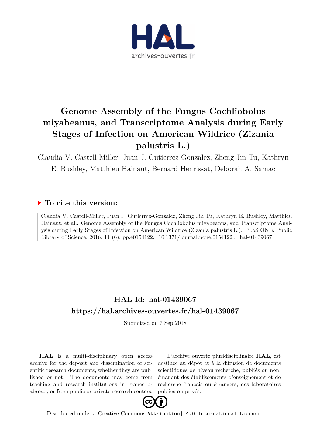 Genome Assembly of the Fungus Cochliobolus Miyabeanus, And