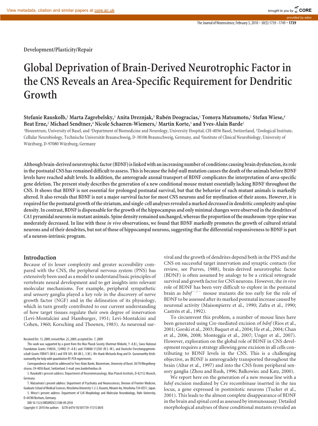 Global Deprivation of Brain-Derived Neurotrophic Factor in the CNS Reveals an Area-Specific Requirement for Dendritic Growth
